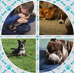 Shelley Page - Facebook