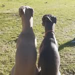 Shelley Pollard - @shellpoll - Instagram