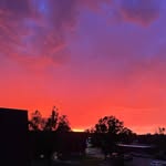 Shelley Pollard Hargrove - @shelley662001 - Instagram