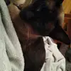 shelleyread339 - @shelleyread339 - TikTok