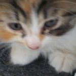 Shelley Roach - @roach9297 - Instagram