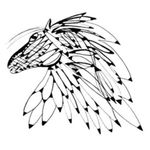 Shelley Rosenberg - @international.equine.summit - Instagram