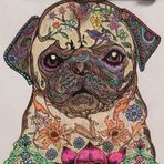 Shelley Sanchez Lopezs - Facebook