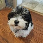 Shelley Sharp - @shelesharp - Instagram