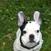 Shelley Shaw - Facebook