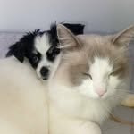 Shelley Shaw - @shelley.shaw.16 - Instagram