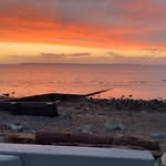 Shelley Shaw Cermak - @cermakshelley - Instagram