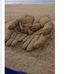 Shelly Singleton - Facebook