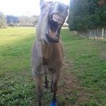 Shelley Small - @shelleysmall13 - Instagram