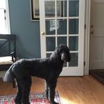 Shelley Smallwood - @shelley_smallwood - Instagram