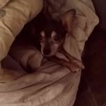 Shelley Kerry Spaulding - @shelleyspaulding - Instagram