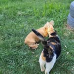 Shelly Spaulding - @spaulding032000 - Instagram