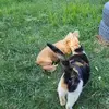Shelly Spaulding - @shelly.spaulding - TikTok