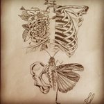 Shelley Stepp - @silvertaotmlx - Instagram