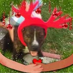 Shelley Terrell - Facebook