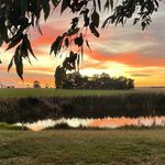 Shelley & Darren Thomson - @cooinda_2024 - Instagram