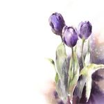 Shelley Thomson - @gottamaketeanow - Instagram