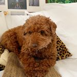 Shelley Townsend - @shelley_townsend - Instagram