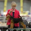 Shelley Townsend Hud - @shelleyhud - TikTok