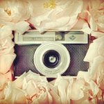 Shelli Elliott - @currideep - Instagram