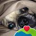 Shelli Elliott - Facebook