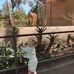 Shelli Jordan - Facebook