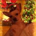 Shelly R Sutton - Facebook