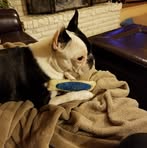 Shelli Taylor - Facebook