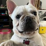 Shellie Bailey - @shelliebailey726 - Instagram