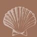 Shells Cleans - Facebook