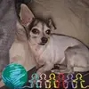 Shellie Martinez - @shellie.martinez - TikTok