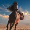 Avinash_Kumar - @shellie.moore - TikTok