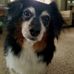 Shellie Taylor - Facebook