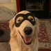 Shellie Tucker - Facebook