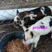 Shellie Tucker - Facebook