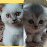 🅰🅳🅴🅻🅰_🆂🅷🅴🅻🅻🅰🐾❤️ - @shel.lyadela - Instagram