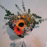 Shelly  Alexander - @shel.ly5837 - Instagram