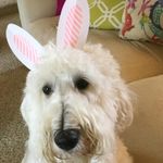 Shelly Hart Arnold - @shelly1959 - Instagram