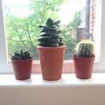 SHELLEY  GEORGE  AUGUSTUS - @george_and_the_siblings - Instagram