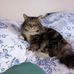 Shelley Batten - Facebook