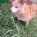 Shelly Batten - Facebook