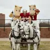 Shelly Benge - @shelly.benge - TikTok