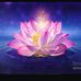 Shelly Bennett - Facebook