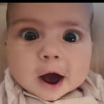 Shelley Bertrand - @shelleybertrand - Instagram