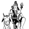 shelly bhardwaj - @user2415383 - TikTok