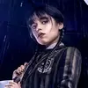 Shellybingo - @shellybingo - TikTok
