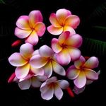 Shelly Bingham - @shellbingo - Instagram