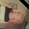 Shelly Binkley - @shelly.binkley - TikTok