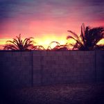 Shelly Bird - @shellybird6524 - Instagram