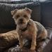 Shelly Blackburn - Facebook